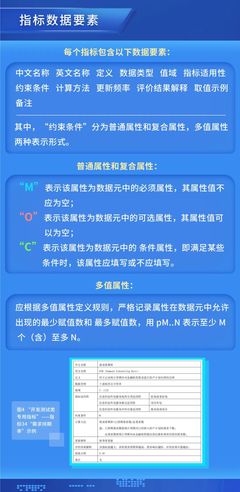 一圖讀懂《金融網絡安全 信息科技外包評價指標數據元》(JR/T 0254-2022)