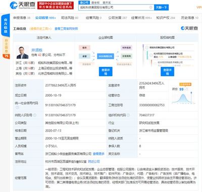 螞蟻集團上市在即，金融信息技術外包助推全球最大規模IPO